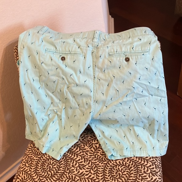 Plug men’s shorts, size 38! Flamingos on the shorts! Great for summer/vacation! - Picture 3 of 3